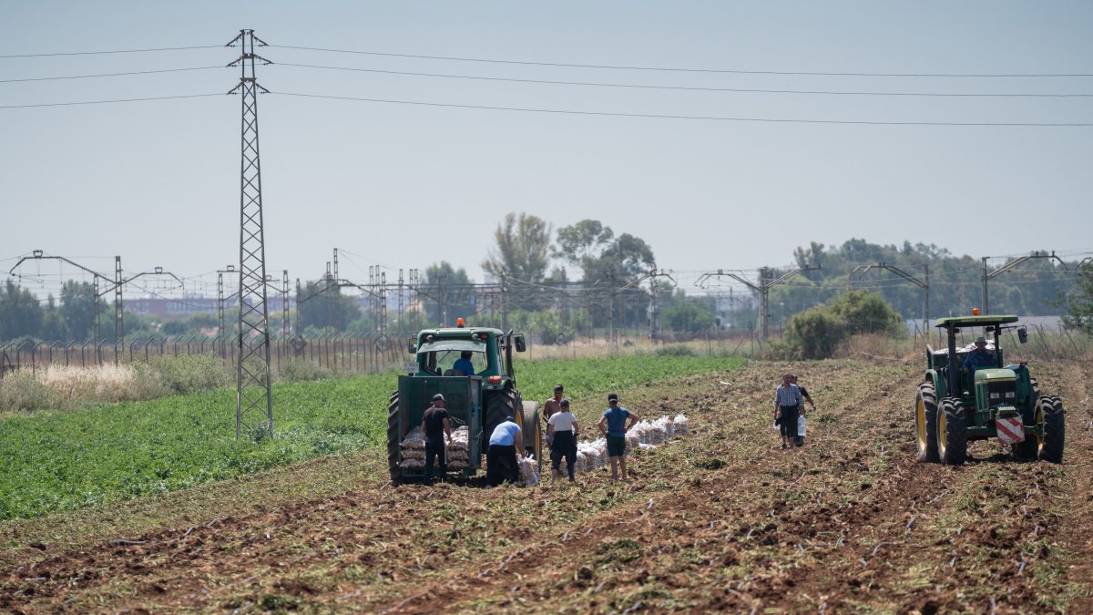 Imagen de archivo de trabajadores en una explotación agrícola.