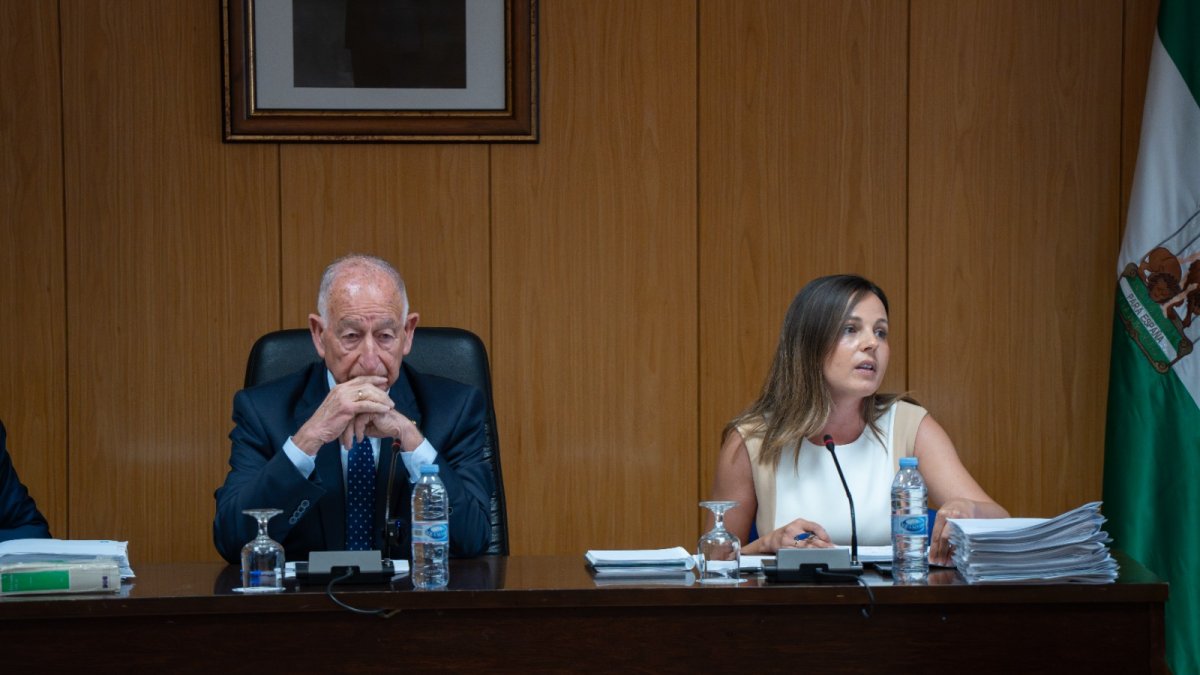 El alcalde de Roquetas de Mar, Gabriel Amat durante el pleno.