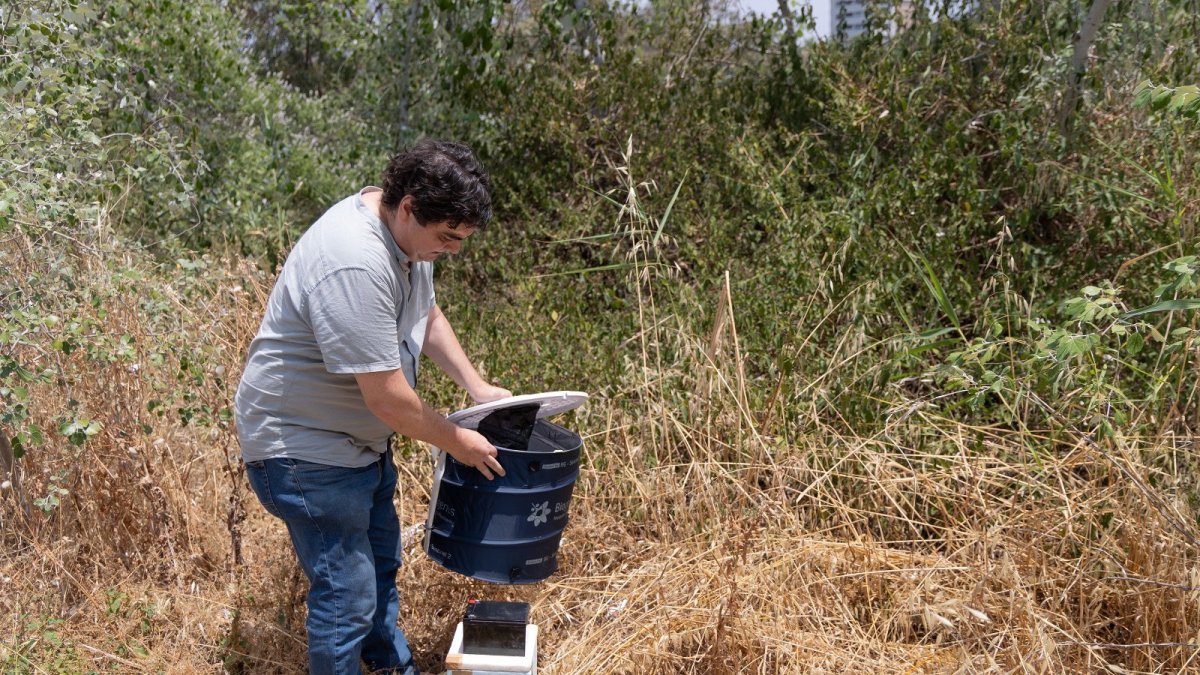 La Junta activa 120 trampas para el seguimiento y control del virus del Nilo en Andalucía, sin ningún caso diagnosticado