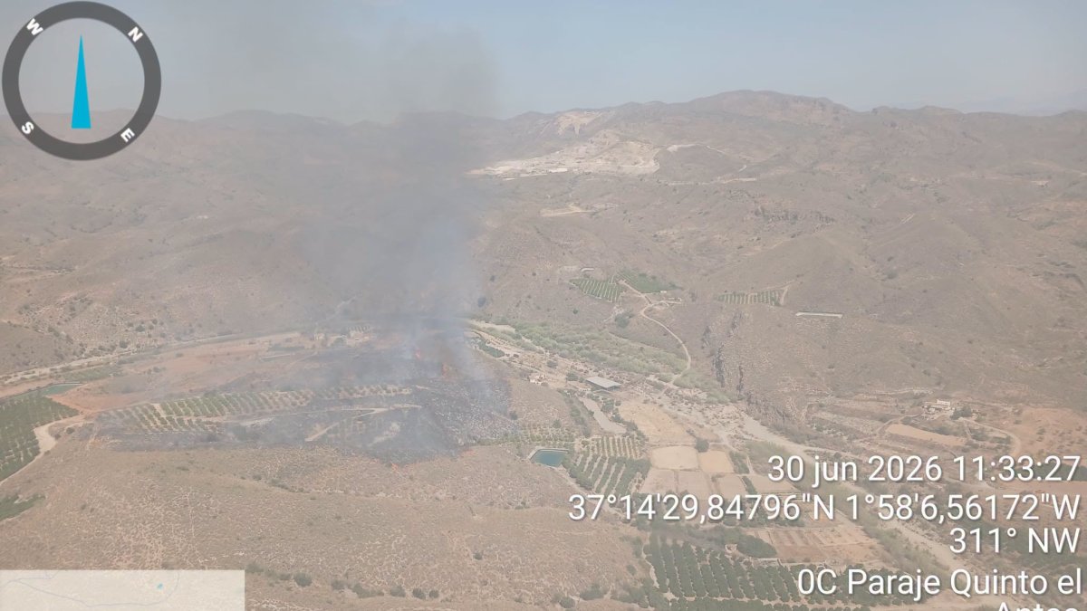 Vista aérea del incendio en el paraje Fuente El Quinto, en Antas.