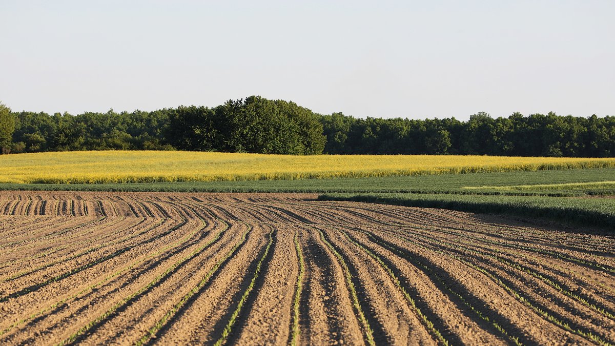 Europa da un paso hacia la agricultura del futuro.