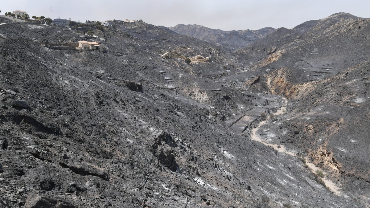 El fuego de Bédar, el incendio más cruel del siglo en toda España, ha convertido la Sierra en puro carbón.