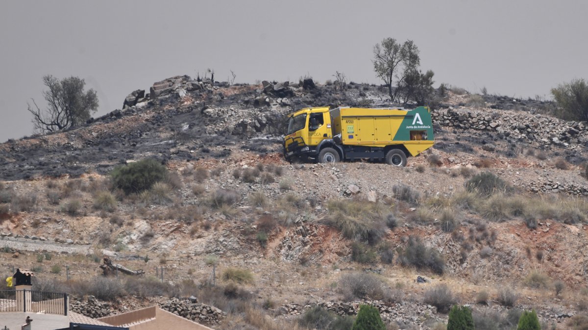 Terrenos calcinados por el incendio forestal, a 10 de julio de 2026, en Los Gallardos, Almería, Andalucía (España).