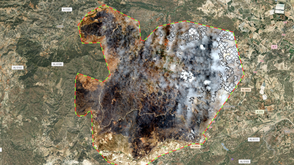 Área quemada en el incendio de los Gallardos