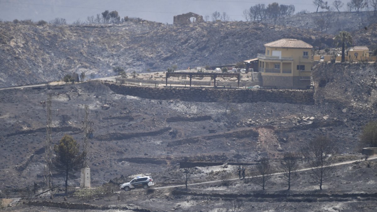 Terrenos calcinador por el incendio forestal, a 10 de julio de 2026, en Los Gallardos, Almería, Andalucía (España).