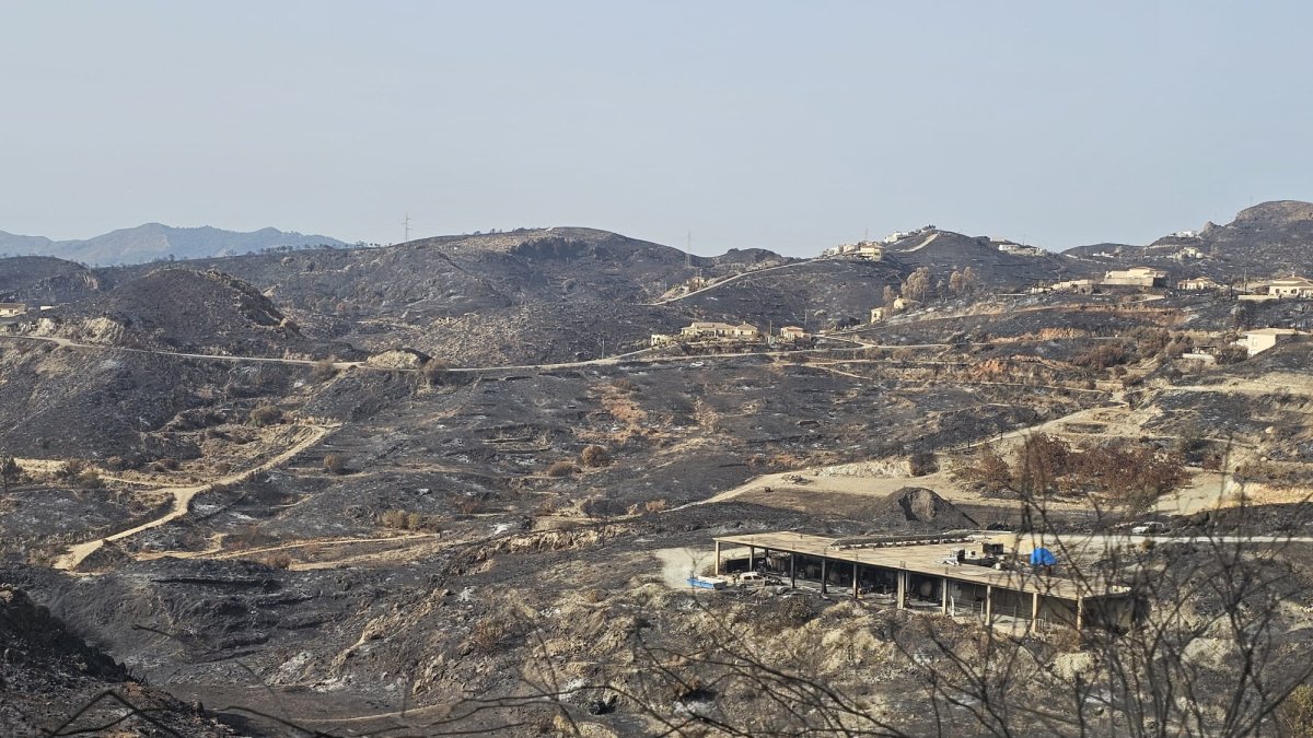 Imagen de terreno afectado tras el incendio en Los Gallardos