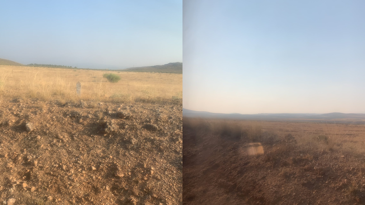 Las imágenes de los alrededores del lugar en el que se ha quedado el tren averiado.