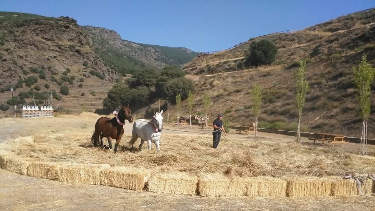 Imagen de la celebración de la parva en Bayárcal