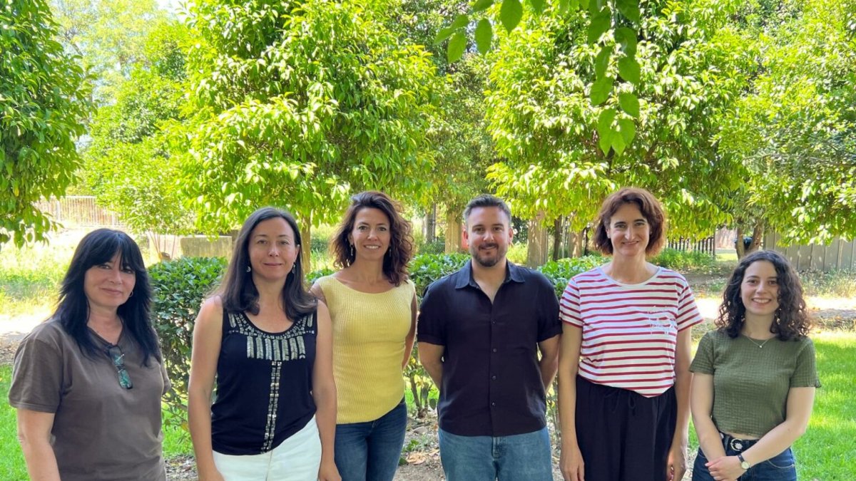Equipo de investigación responsable del estudio.