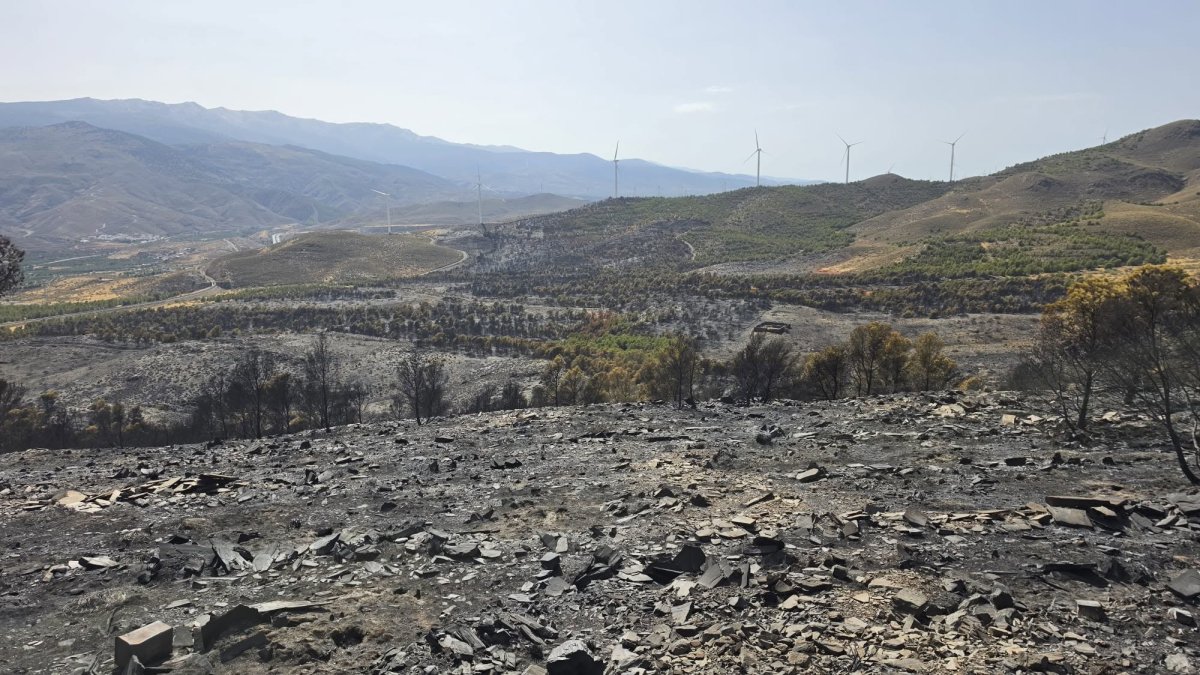 Superficie quemada por el incendio de Las Tres Villas