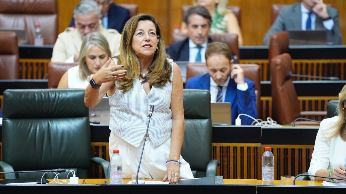 Archivo - La consejera de Desarrollo Educativo y Formación Profesional de la Junta, María del Carmen Castillo, en el Pleno del Parlamento andaluz el 25 de septiembre de 2025. (Foto de archivo).