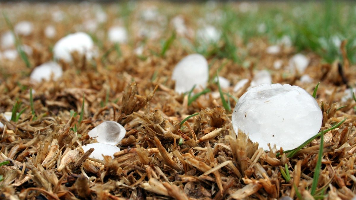 La intensidad de las tormentas de granizo deja daños en 54.600 hectáreas de cultivo aseguradas e indemnizaciones por 50 millones de euros