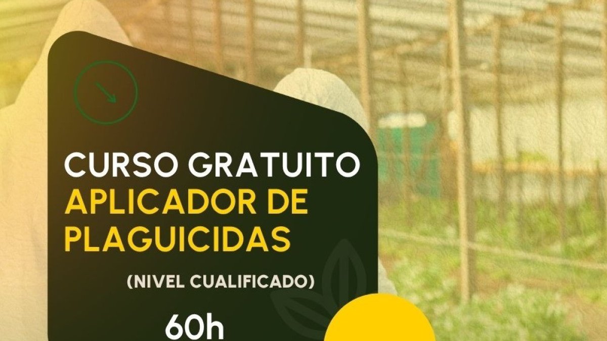 Curso gratuito