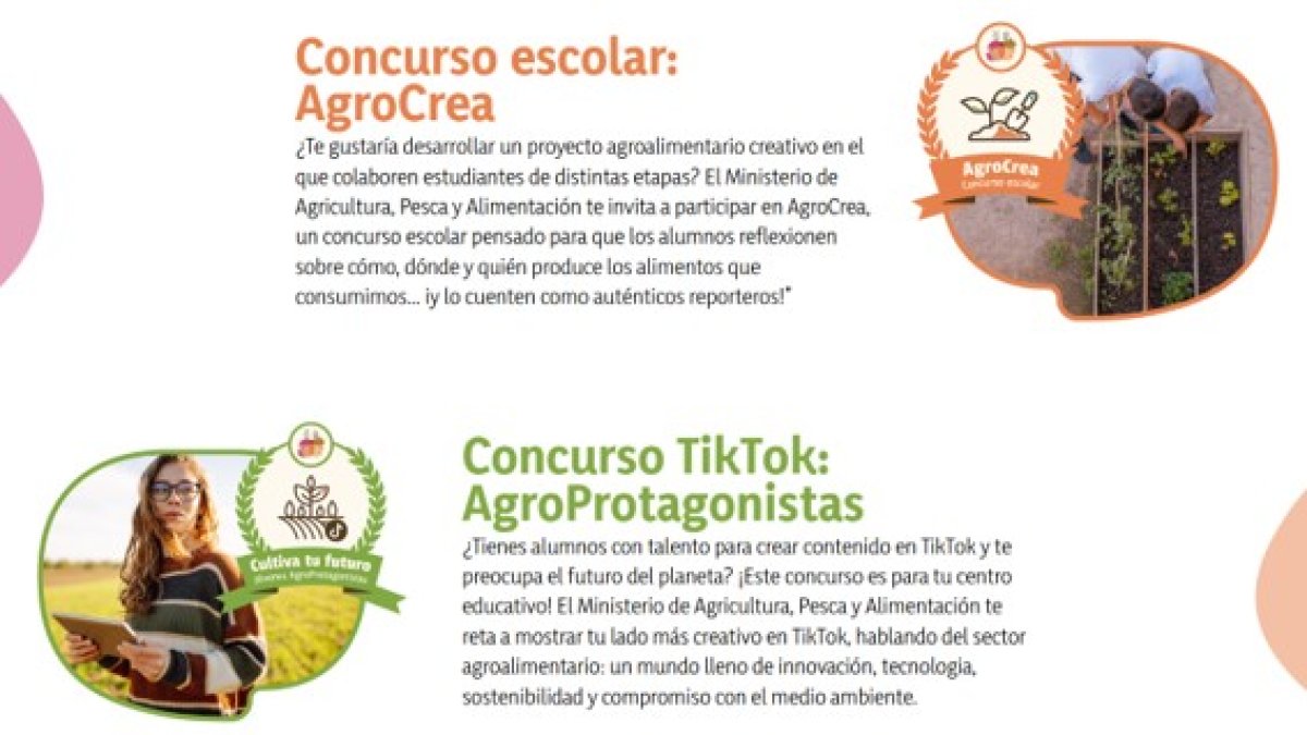 Concursos escolares.