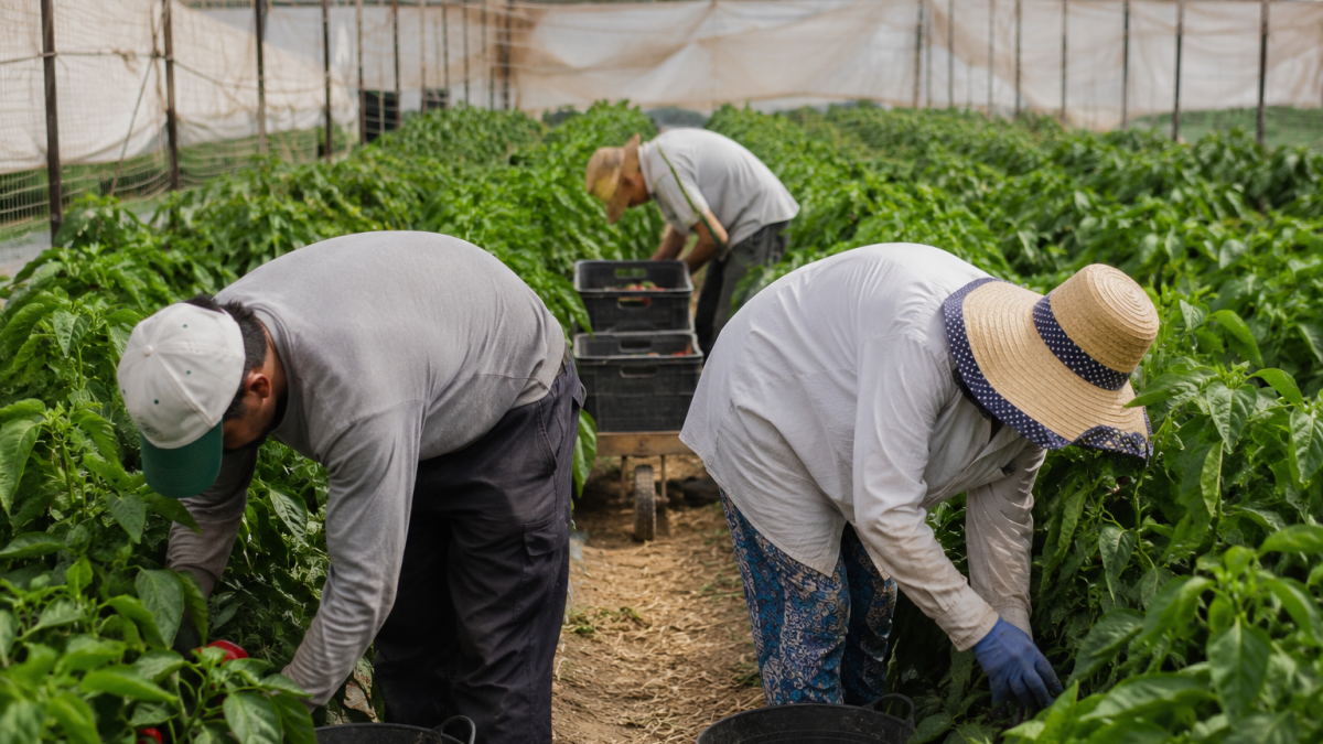 Trabajadores en un invernadero.