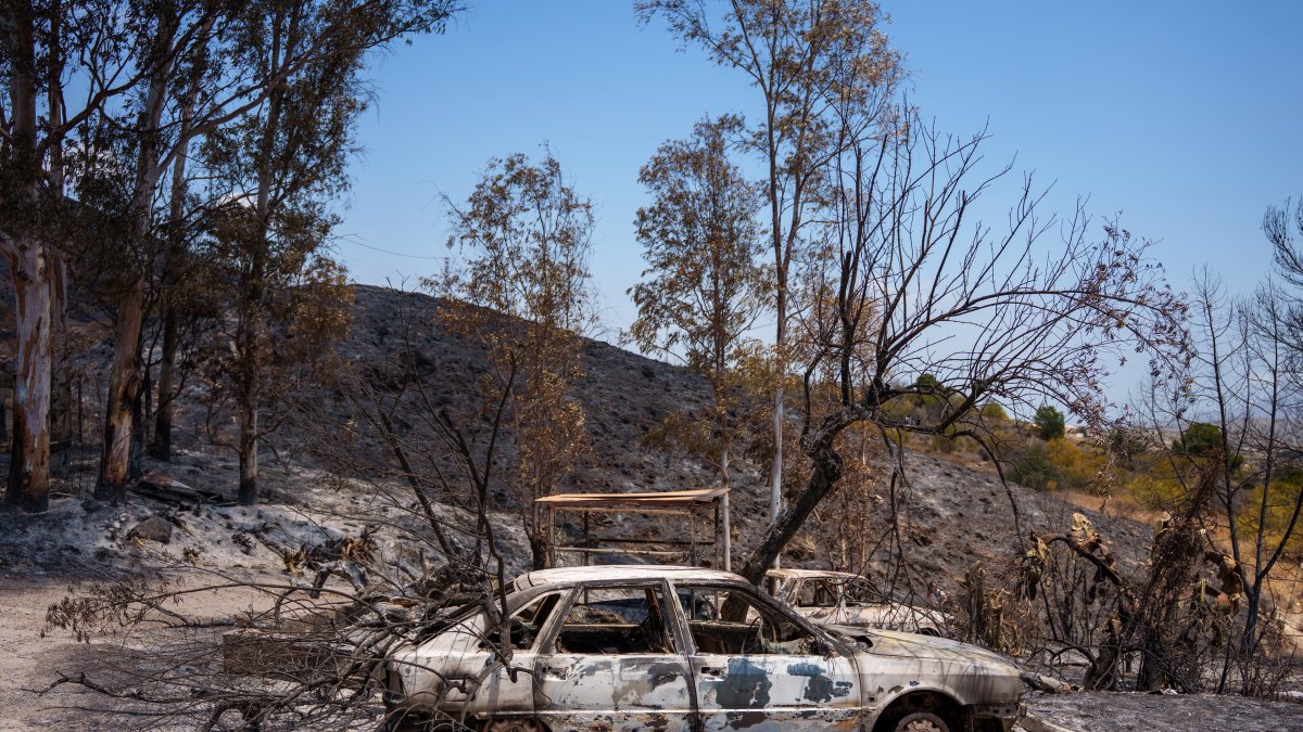 Archivo - Zona afectada por el incendio de Los Gallardos (Almería).
