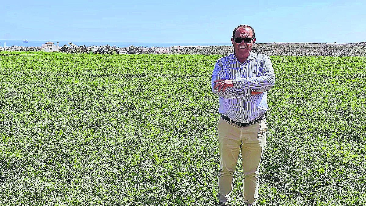 José Navarro en uno de sus campos de producción.