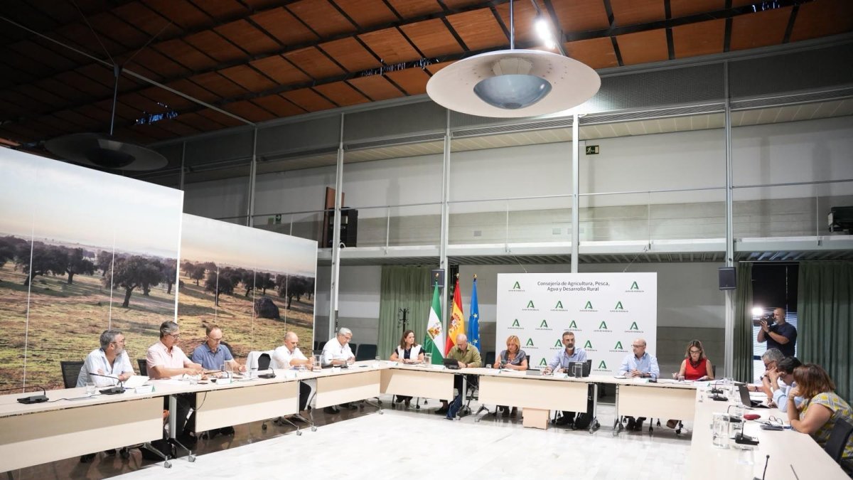 Mesa de Diálogo Social