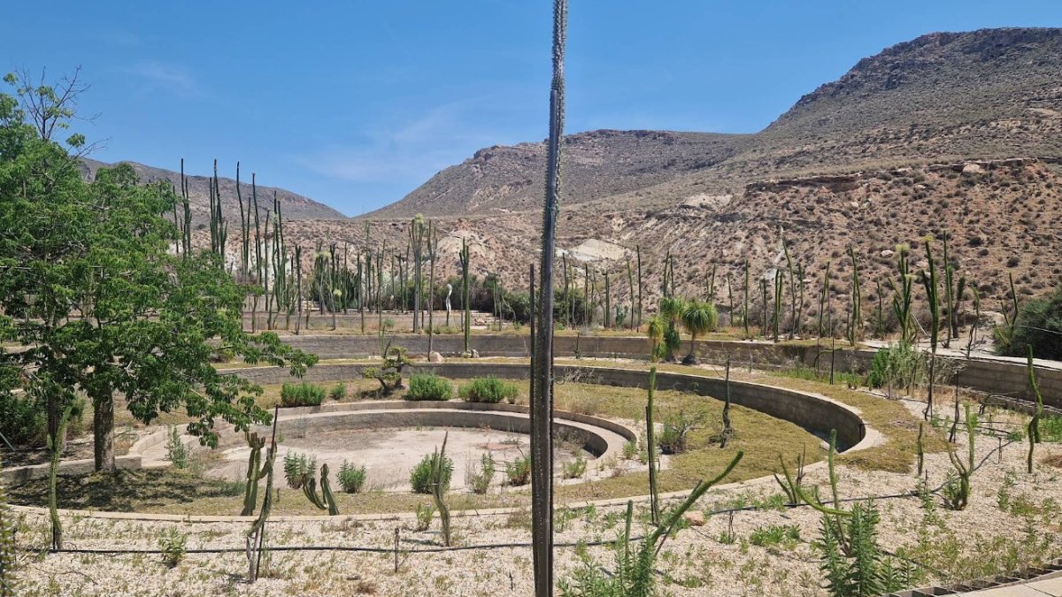 Vivero situado en el Camino del Campo, en Níjar.