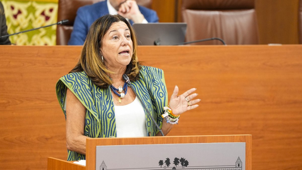 La consejera de Educación de la Junta de Andalucía, María del Carmen Castillo, durante una comparecencia en el Pleno del Parlamento andaluz.