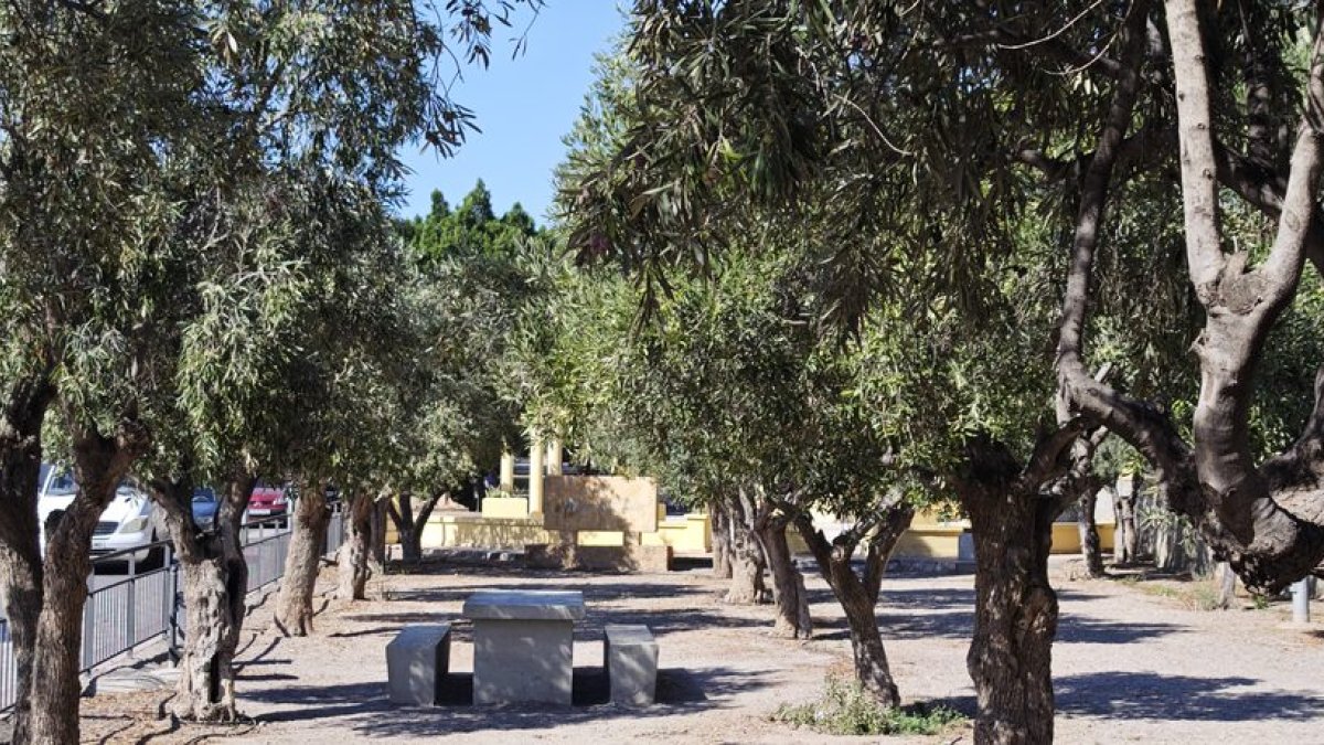 Olivos de Vícar