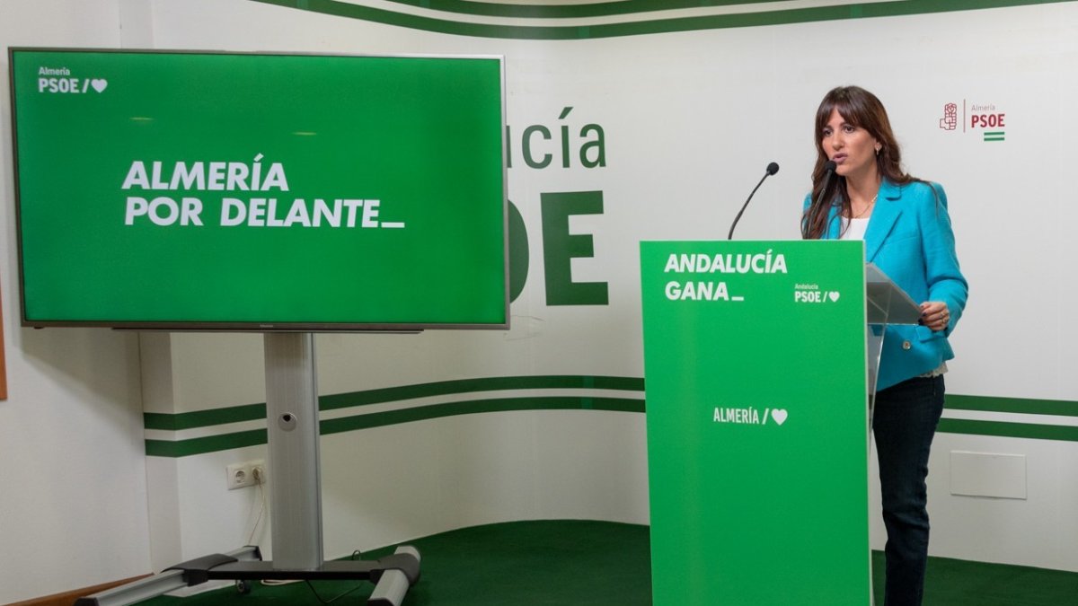 La diputada en el Congreso por el PSOE de Almería, Inés Plaza