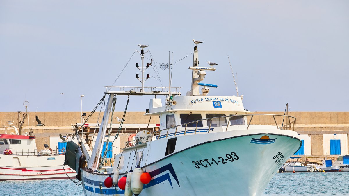 El Nuevo Amanecer de Mayo, barco de arrastre con base en Carboneras y origen garruchero.