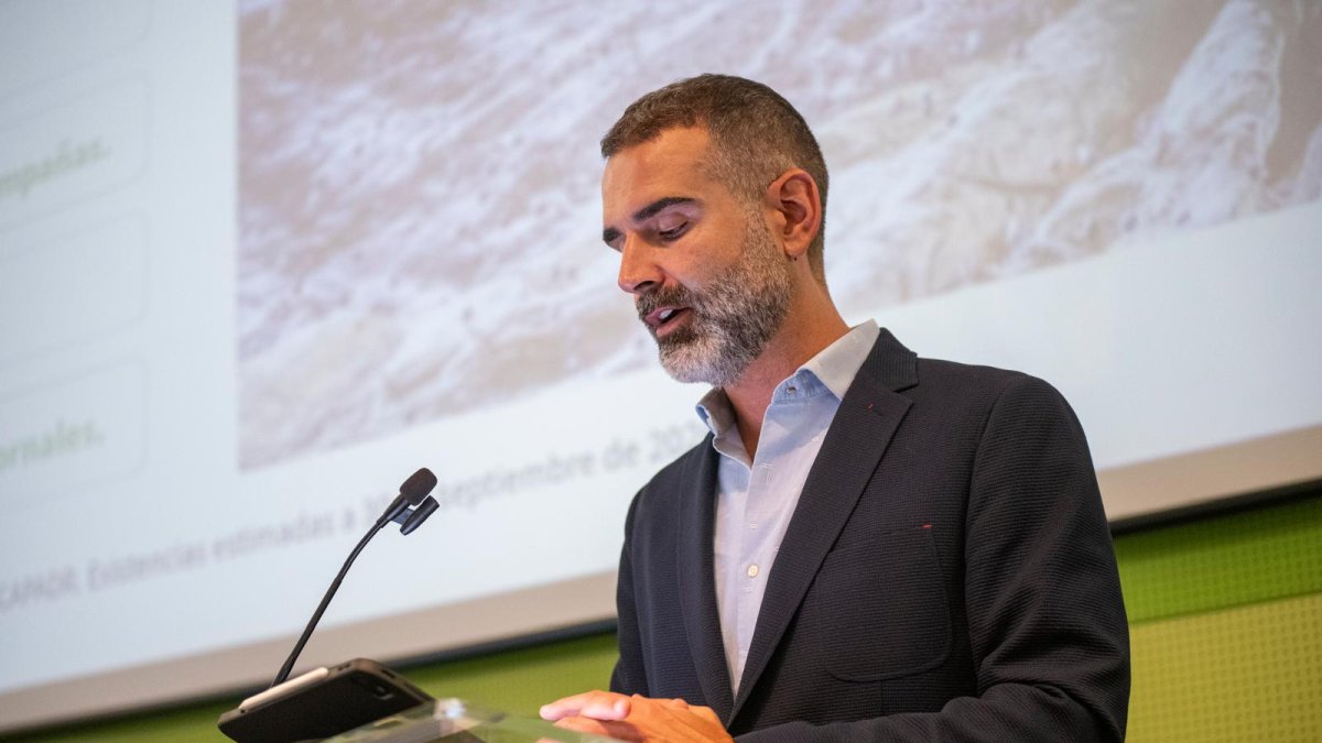 El aforo del olivar arroja una estimación en la producción de aceite de oliva en Andalucía para la próxima campaña 2026/2027 de 1.261.200 toneladas.