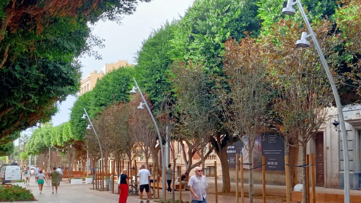 Arbolado del Paseo de Almería.