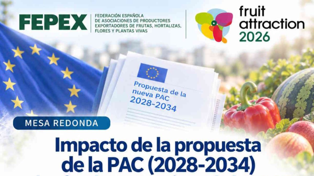 Análisis de la propuesta de la Comisión Europea para la PAC 2028-2034 y de sus implicaciones para las organizaciones de productores, programas operativos y financiación de las OPFH