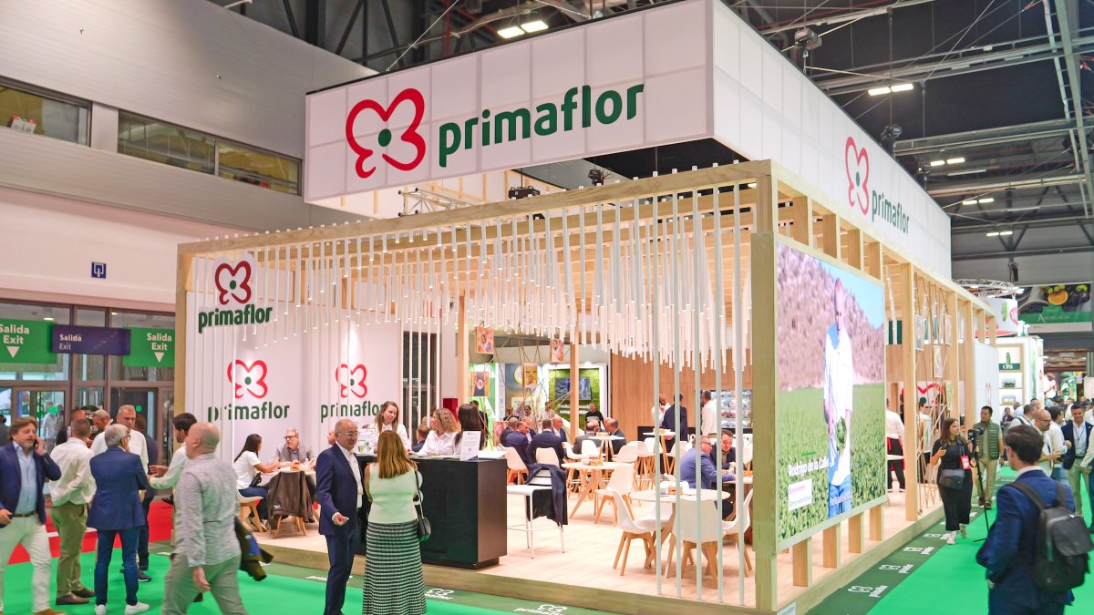 Primaflor participa un año más en Fruit Attraction, en IFEMA Madrid, con un espacio renovado en el pabellón 9, stand 9D01. Punto de encuentro para clientes, distribuidores y profesionales del sector.