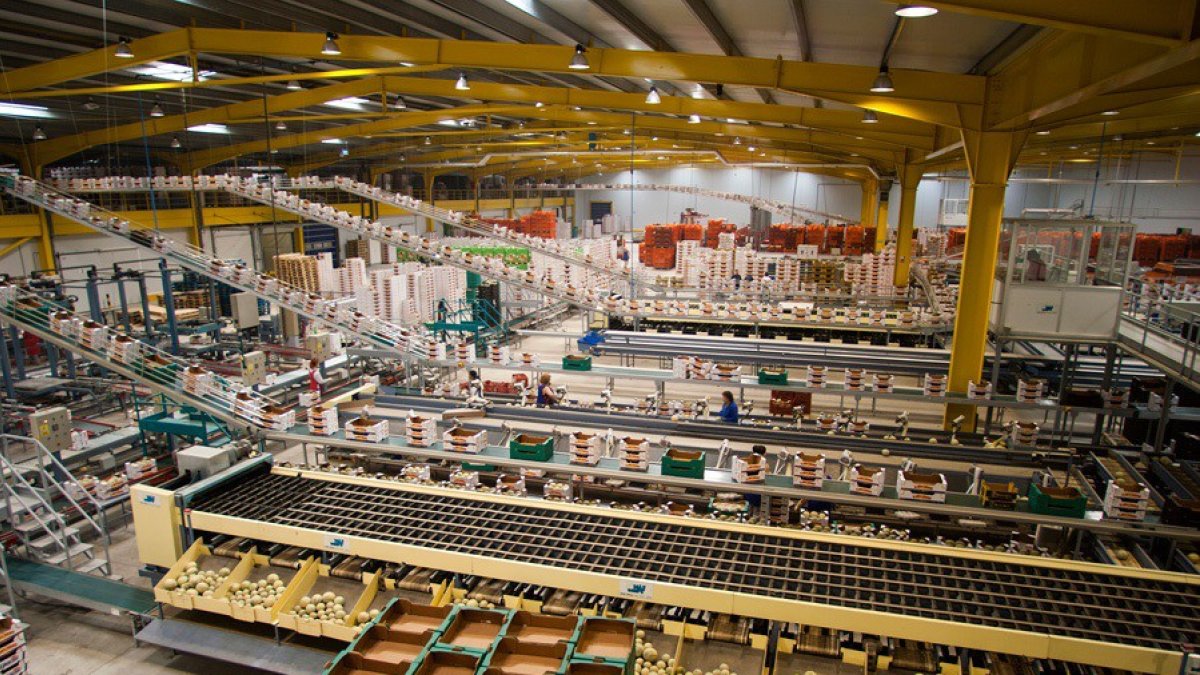Archivo - Imagen de archivo de un almacén de manipulado hortofrutícola.