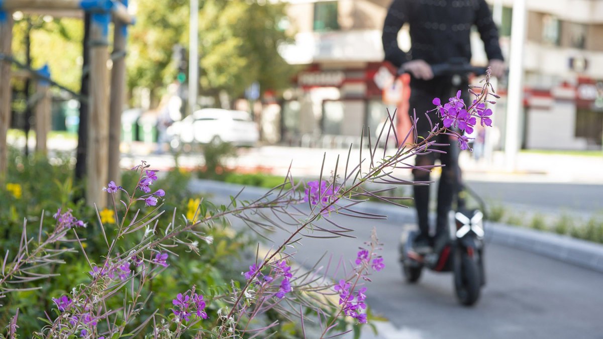 Archivo - Una persona circulando en patinete