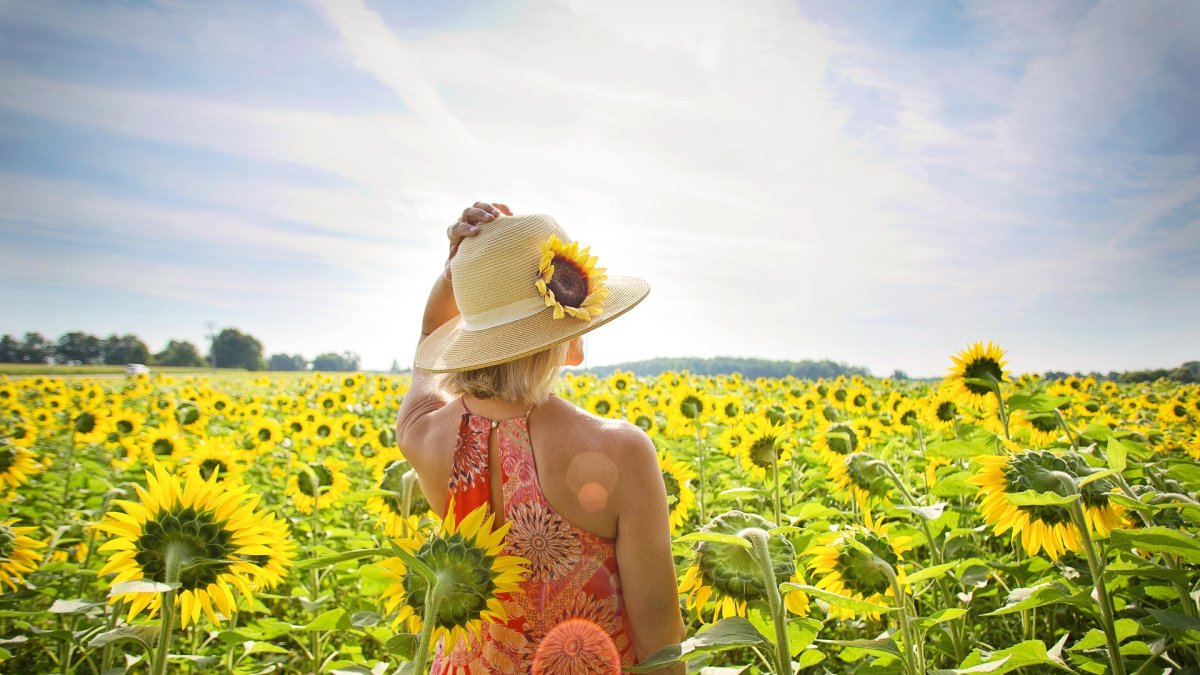 Agricultoras, envasadoras, investigadoras, gerentes de cooperativas, todas ellas mujeres rurales líderes que, durante décadas fueron una parte presente e invisible dentro de la cadena