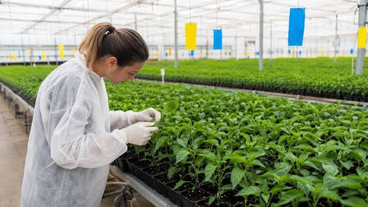 Organizado por Agromarketing España, con la colaboración de ASEHOR y el Ayuntamiento de El Ejido, el evento mantiene abiertas sus inscripciones en www.semillerosforum.es.