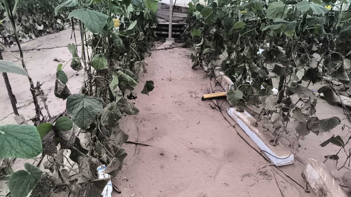 COAG Almería pide ayudas directas para explotaciones y un plan contra inundaciones