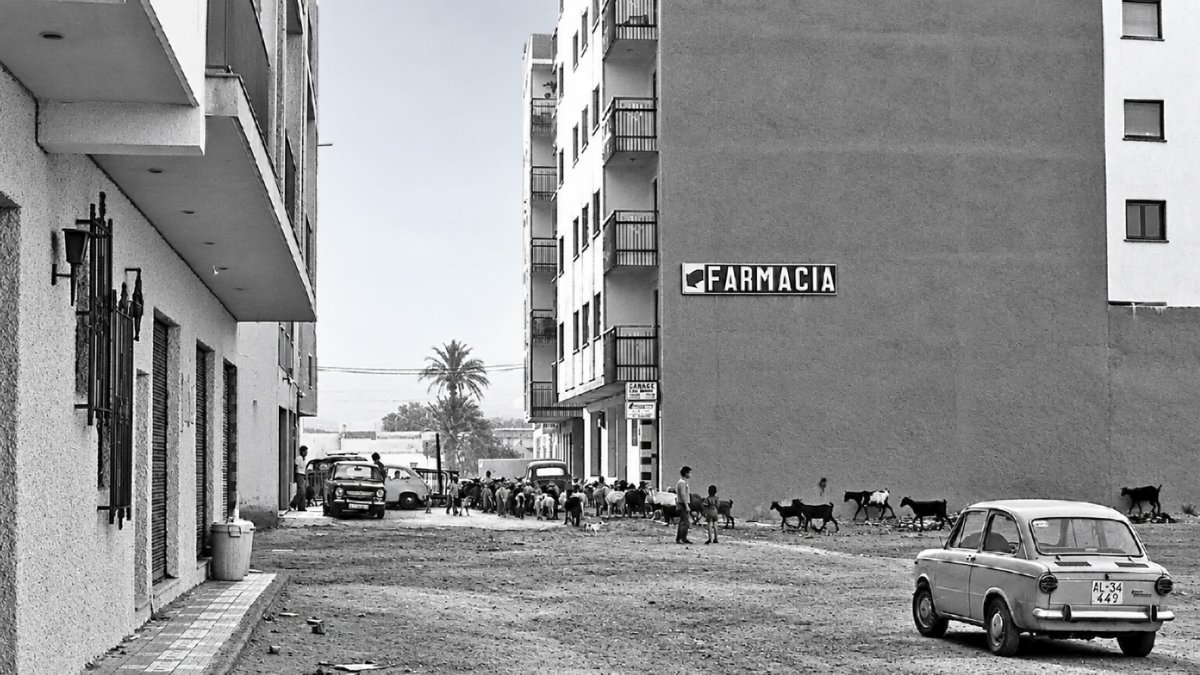 Uno de los solares del barrio del Zapillo en los años 70, cuando todavía cruzaban por allí los rebaños de cabras que venían de la vega.