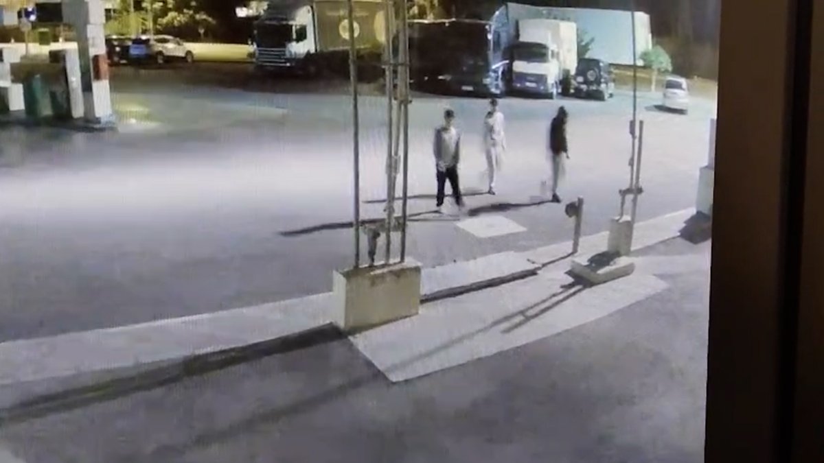Detenidos cuatro jóvenes en el Poniente almeriense.