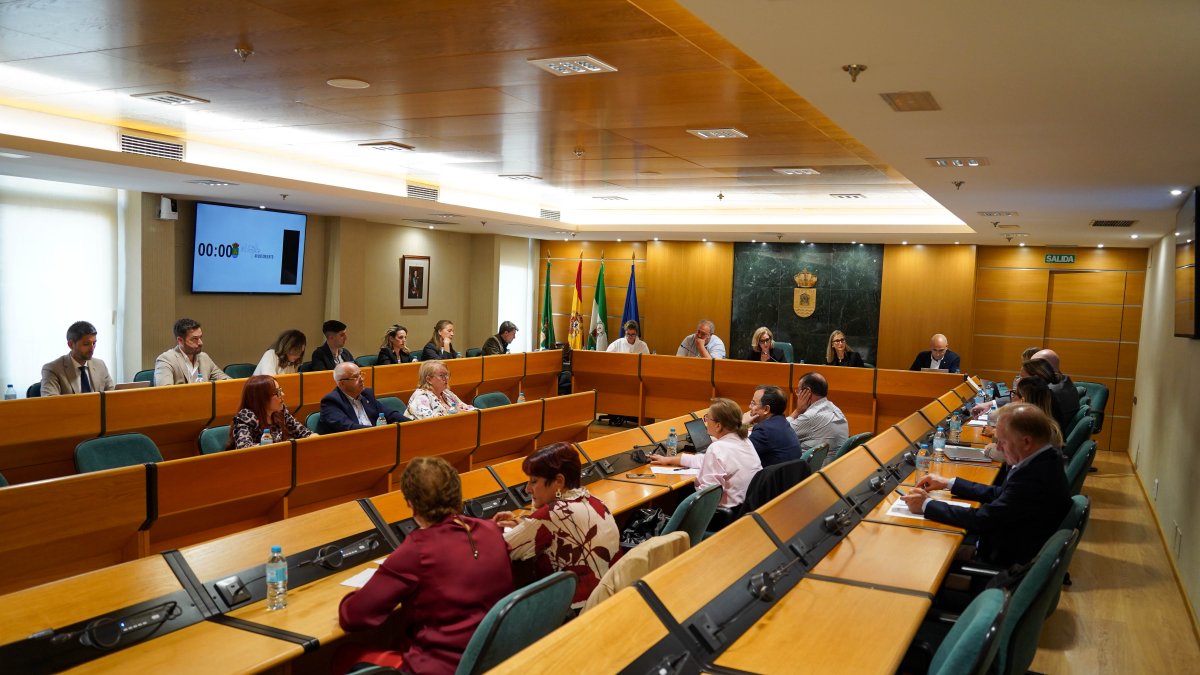 Pleno de El Ejido.