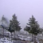El entorno de Calar Alto con nieve recogido por las cámaras del observatorio.