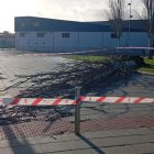 Árbol caído por las fuertes rachas de viento en Almería capital.