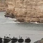 Algunas de las narcolanchas refugiadas en la Cala del Carnaje el pasado miércoles 4 de marzo.