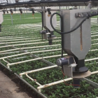 Maquinaria desarrollada por Agrobío en colaboración con empresas holandesas para distribución de depredadores y ácaros presa en cultivo de flor corta