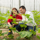 A. La Unión se consolida como uno de los gigantes de la venta de frutas y hortalizas al exterior de la zona de Almería y Granada.