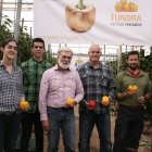 La gama de pimientos California de Zeraim ha sido todo un éxito entre los agricultores.