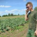 La producción europea domina en los mercados en el segmento de los "cultivos de invierno" almerienses.