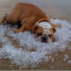 Te ofrecemos varios consejos para mantener fresco el hogar