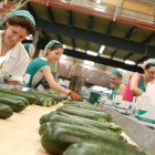 Trabajadoras de MABE Hortofrutícola confeccionan producto en la actual planta.