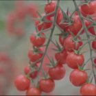 Hotiespaña lanza un vídeo para derribar falsos mitos.