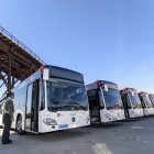 Autobuses de la flota de Surbús incorporados hace unos meses.